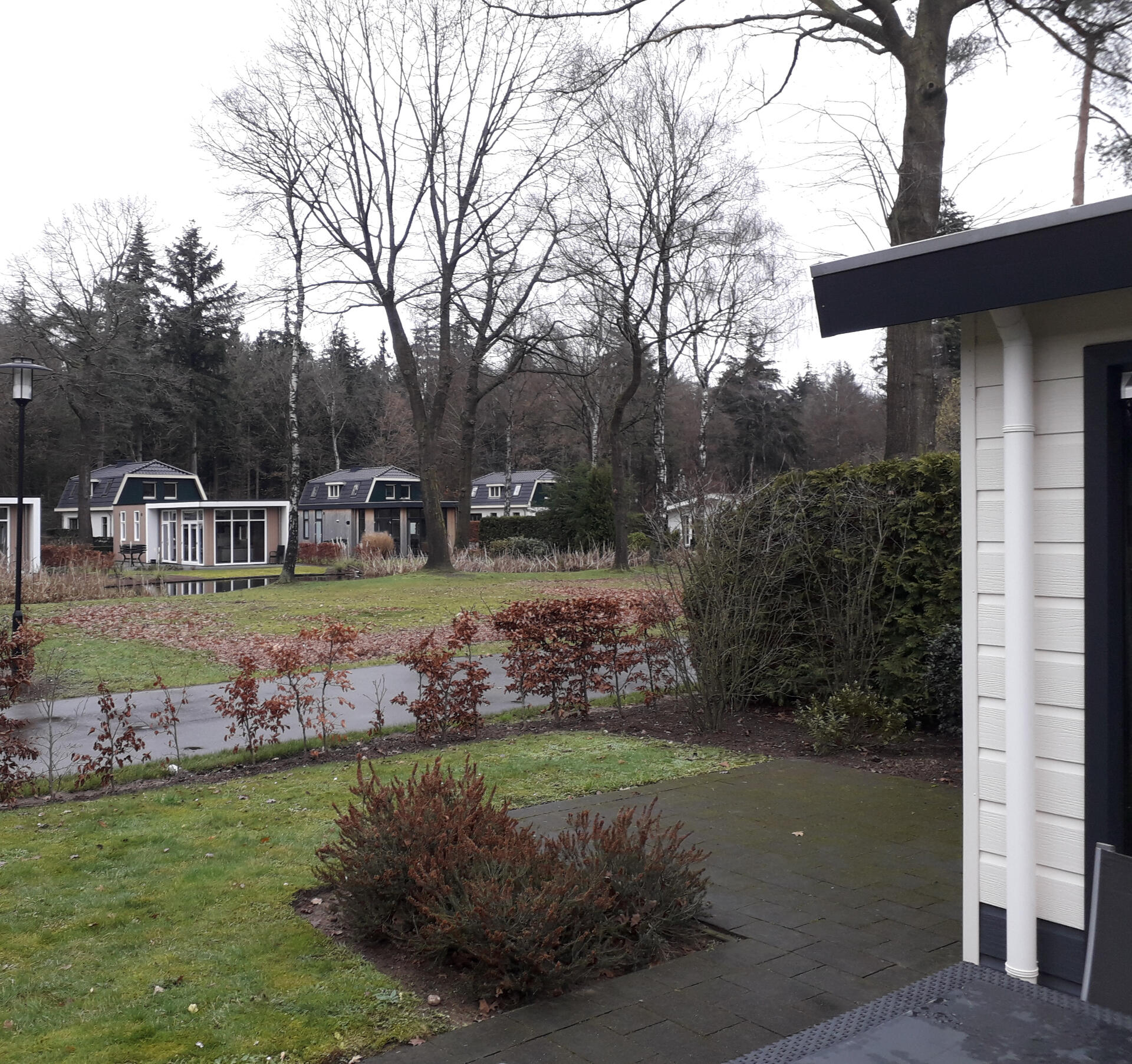 uitzicht met veel groen en